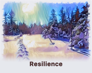 Values Resilience 